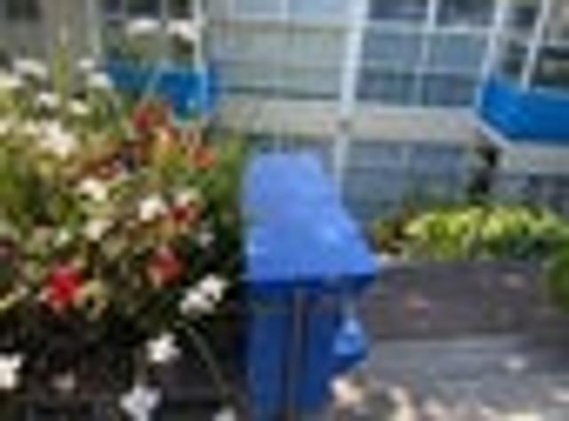 Parnell, 1 bedroom, $400 pw