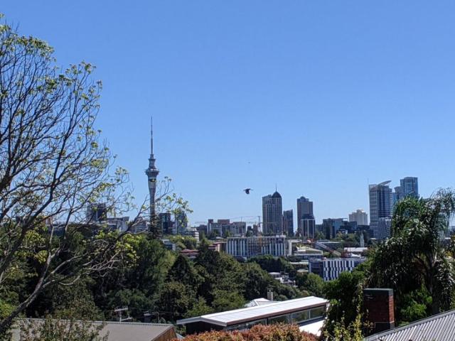parnell, 1 bedroom