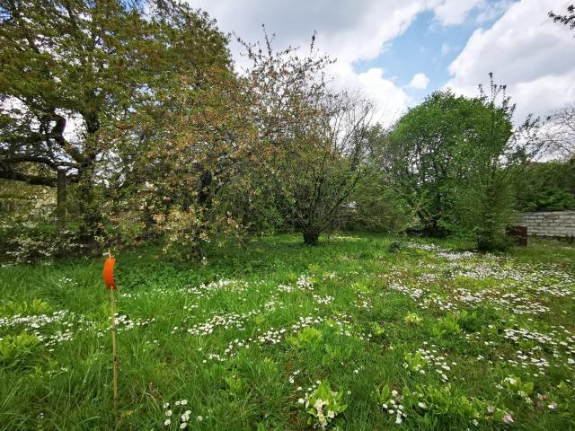 Paron Vente Terrain 89