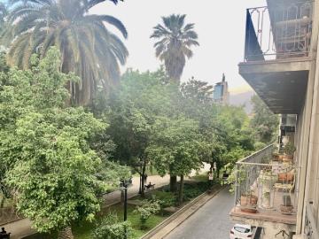PARQUE FORESTAL
