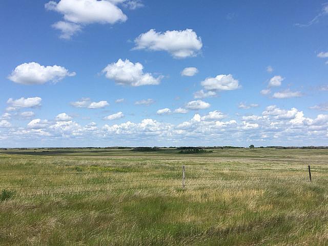 Pasture Land For Sale