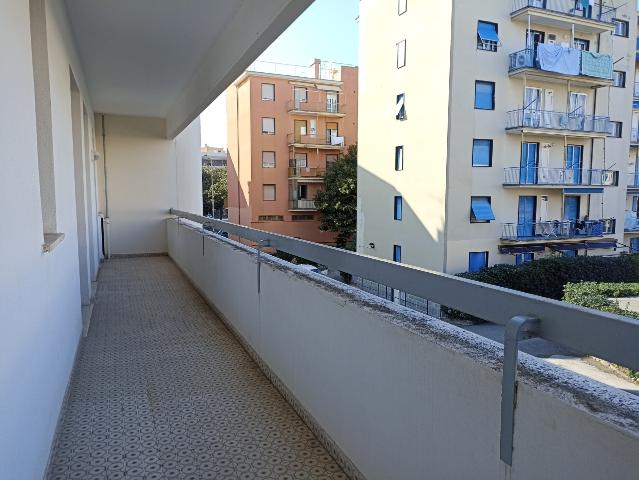 Pascolo arborato Strada trafficata a Sestri Levante