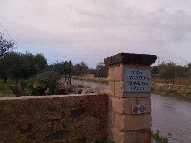 Pascolo in vendita a Siracusa