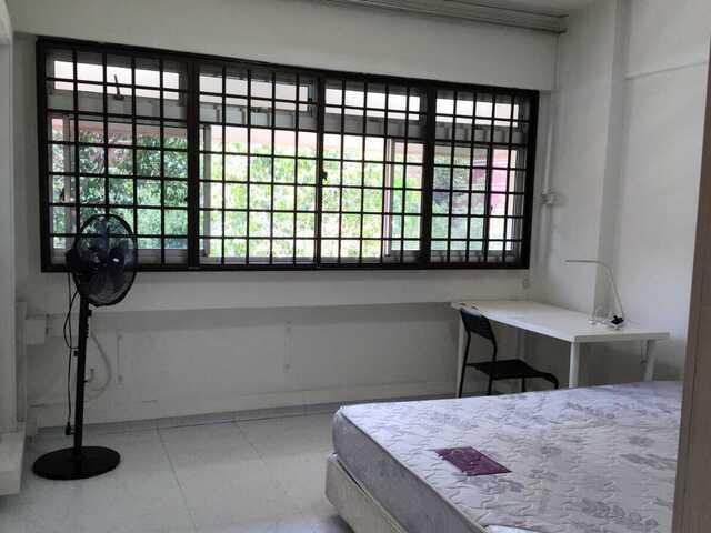 Pasir Ris Central master bedroom room available for rent