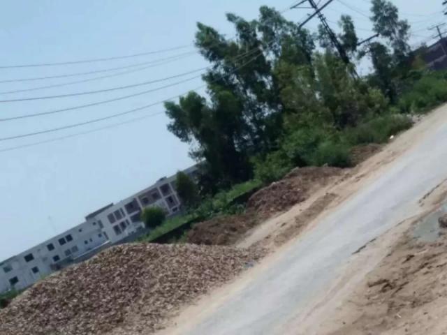Pasrur road pragpur near Islam center Sialkot ID 11870