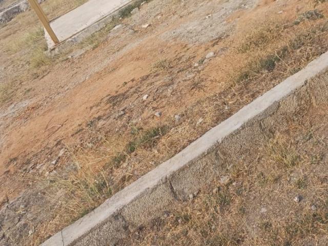 Patancheru 200 Sq.Yd. Plot in Kandi Hyderabad Listing ID: #9429