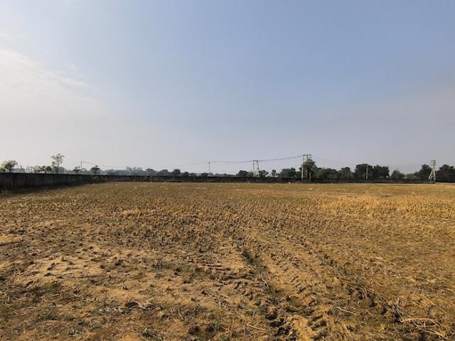 Pataudi Rewari Road Milak Commercial Land 6 Acre in Pataudi Gurgaon Listing ID: #9539