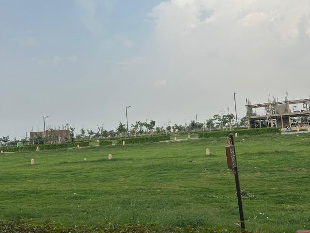 Patel Nagar 100 Sq.Yd. Plot in Tehsil Camp Panipat Listing ID: #9888