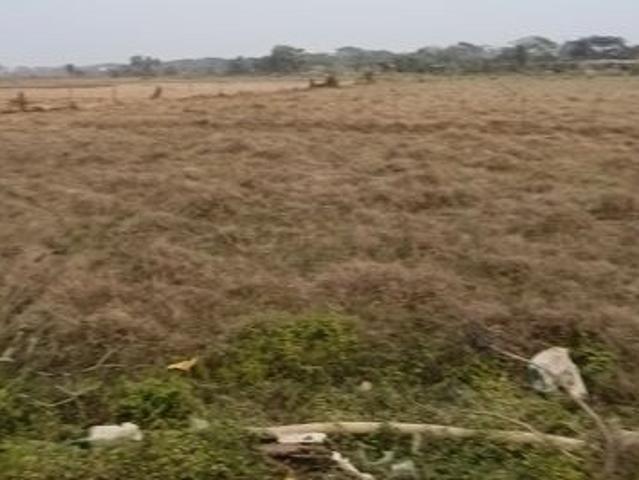 Patrapoda 1500 Sq.Ft. Plot in Patrapada Bhubaneswar Listing ID: #9986