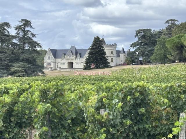 Patrimoine d'exception et vignoble AOC Saumur sur les bords de Loire