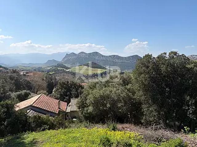 Patrimonio 20253 Achat / Vente terrain