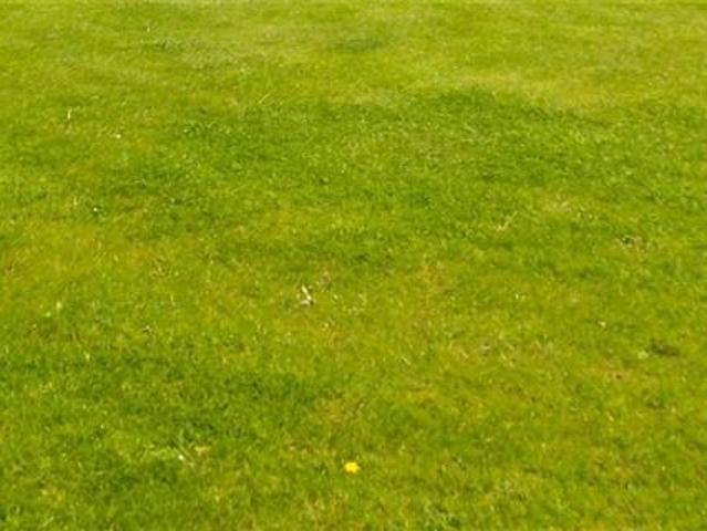 0.459 Hectare/1.135 Acre, Patrickswell, Rathvilly, Co. Carlow Sherry FitzGerald McDermott Tullow 4712 MyHome. Ie Residential