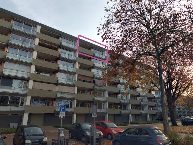 Patrijzenveld 63
