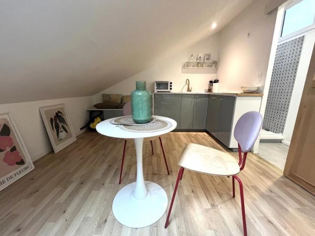PAU CENTRE VILLE Studio Meublé
