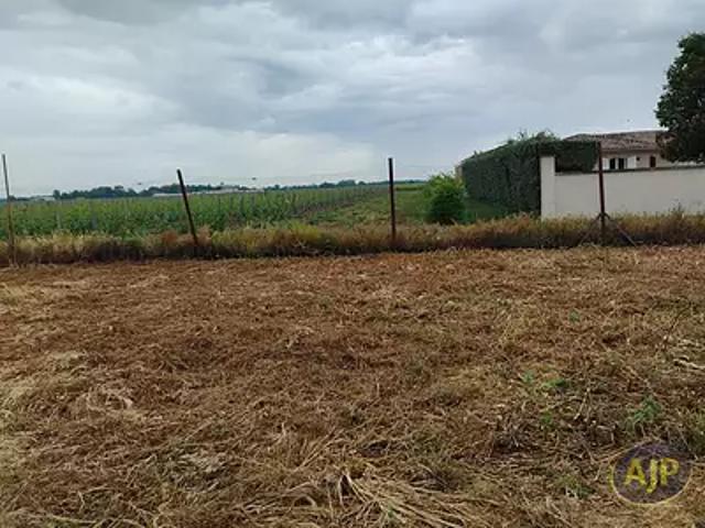 Pauillac 33250 Achat / Vente terrain
