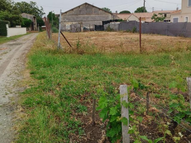 Pauillac Vente Terrain 33