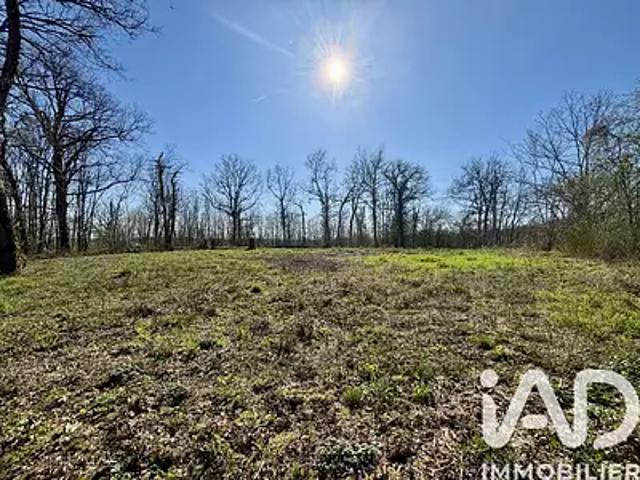 Paulin 24590 Achat / Vente terrain