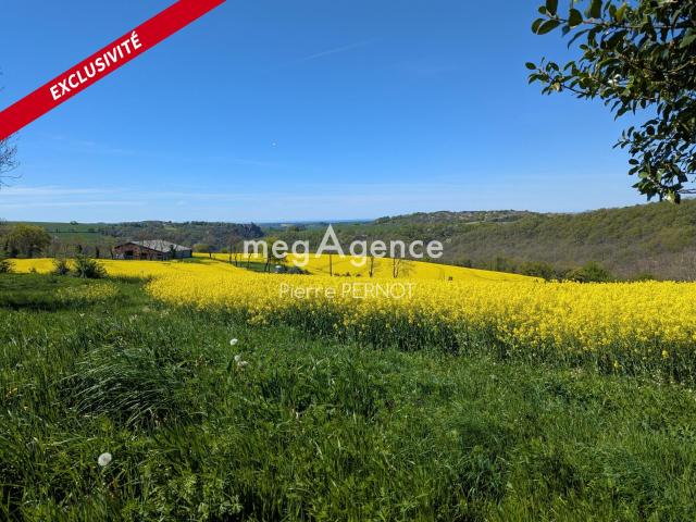 Paulinet Vente Terrain 81