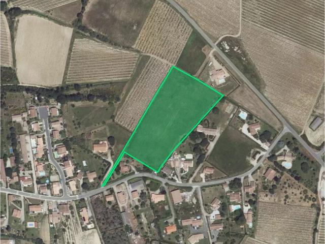 Pauligne Vente Terrain 11