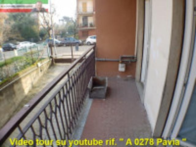 Pavia affitto via Pettenghi per studenti