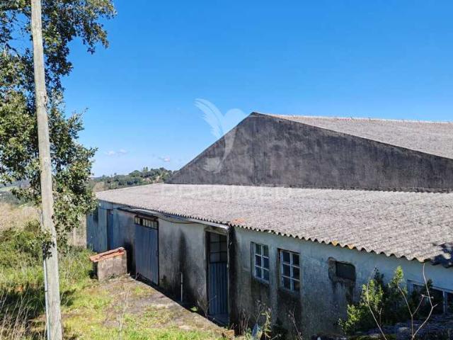 Pavilhão