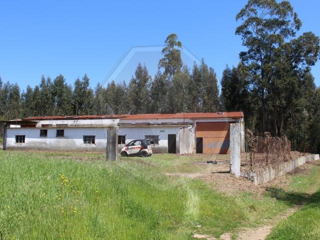 Pavilhão Assilhó Albergaria a Velha