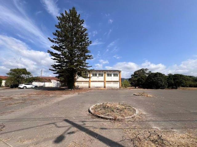Pavilhão com grande potencial industrial/comercial junto à estrada principal em Albergaria – Juncal