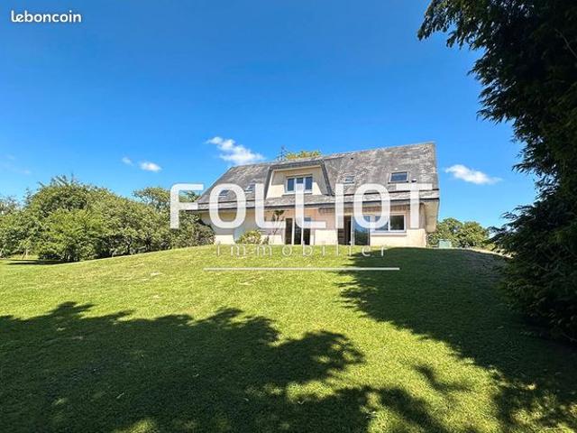 Pavillon 9 pièces 294 m²