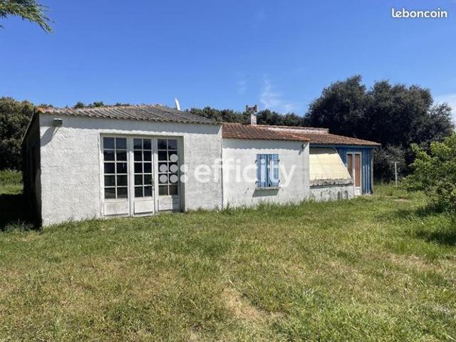 Pavillon 3 pièces 79 m²