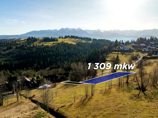 Pawliki 1 309 m², Rzepiska