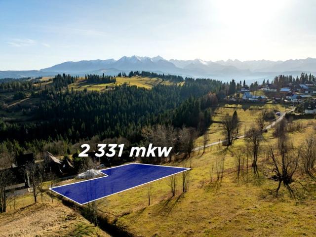 Pawliki 2 331 m², Rzepiska
