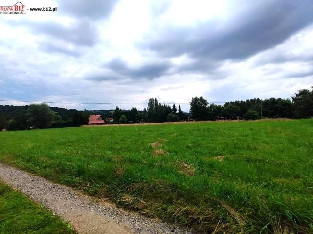 Pawlikowice 3 400 m², Pawlikowice