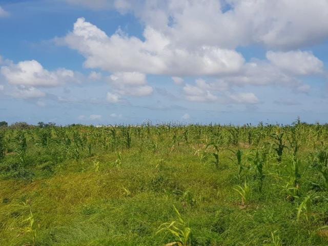 Pazuri Park 1/8 Acres For Sale – Oaklands