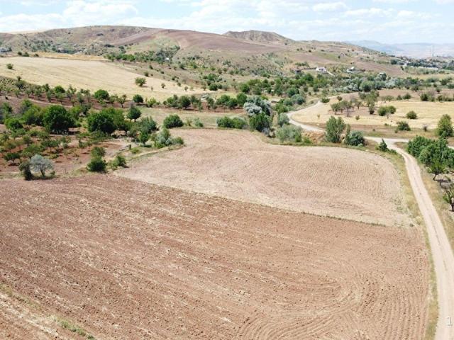 PEÇENEK TE YOL KENARI HALI GİBİ DÜZLÜKTE UFAK BAHÇELİK TARLA