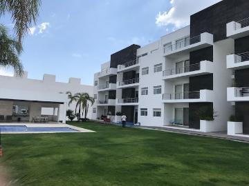 PENT HOUSE AMUEBLADO EN RENTA REAL DE JURIQUILLA QUERETARO