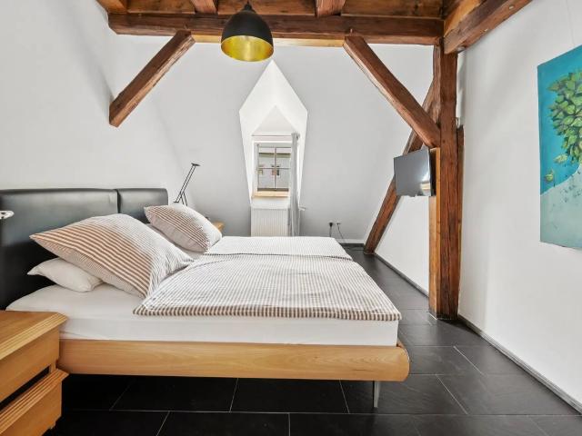 Penthouse 1872 exclusive living in Bayreuth City