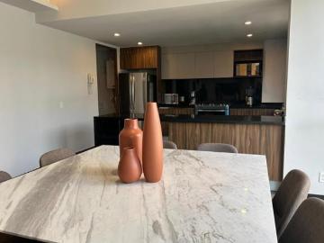 PENTHOUSE CON ROOF GARDEN EN VENTA, POLANCO