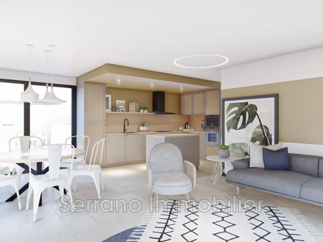 Penthouse Chateaurenard 4 pièce s 100 m2
