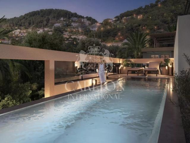 PENTHOUSE AVEC COULOIR DE NAGE PRIVE'