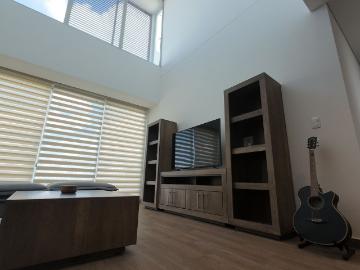 Penthouse en Punta Cascatta
