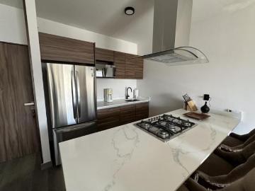 PENTHOUSE EN VENTA EN SANTA ANA TEPETITLAN