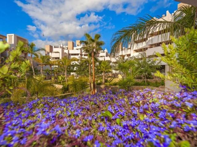 Penthouse en venta Estepona