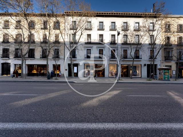 Penthouse for rent in Castellana, Madrid city, Madrid