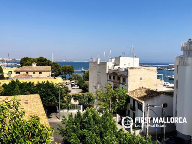 Penthouse for rent in El Terreno, Palma de Mallorca, Mallorca