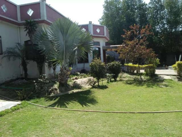 Penthouse for sale with furnish Karachi Mehmoodabad ID 02431