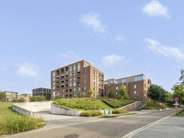 Penthouse K11.608