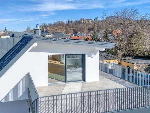 Penthouse Modern Max