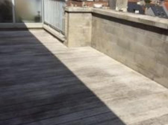 Penthouse met 1slpk onmiddellijk aan zee, strand & duinen