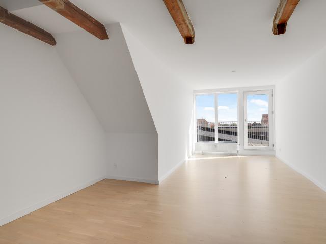 Penthouse med 20 kvm tagterrasse og panoramaudsigt