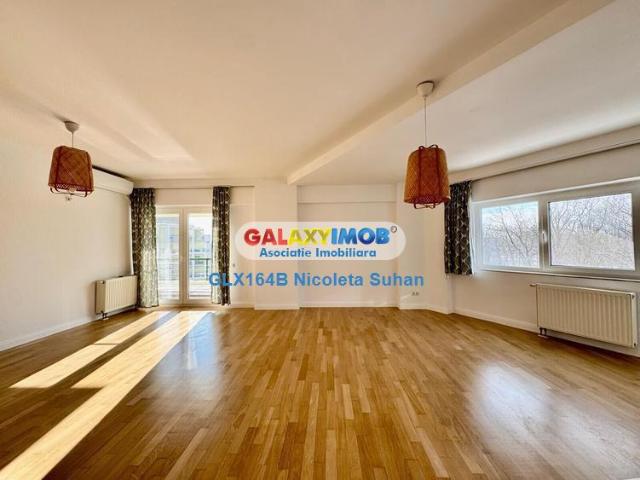 penthouse sos nordului | parc herastrau | boxa+ 2 locuri parcare